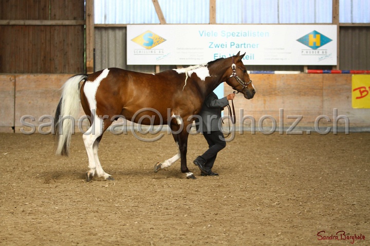 23-APHA SS_034.jpg